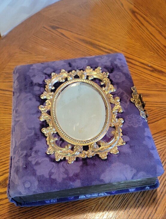Other - Antique Velvet Parlor Photo Album~ Velvet~ 46  Photos